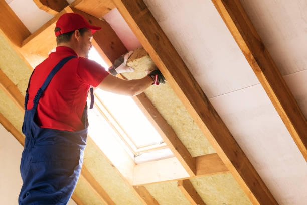 Types of Insulation We Offer in Emmaus, PA